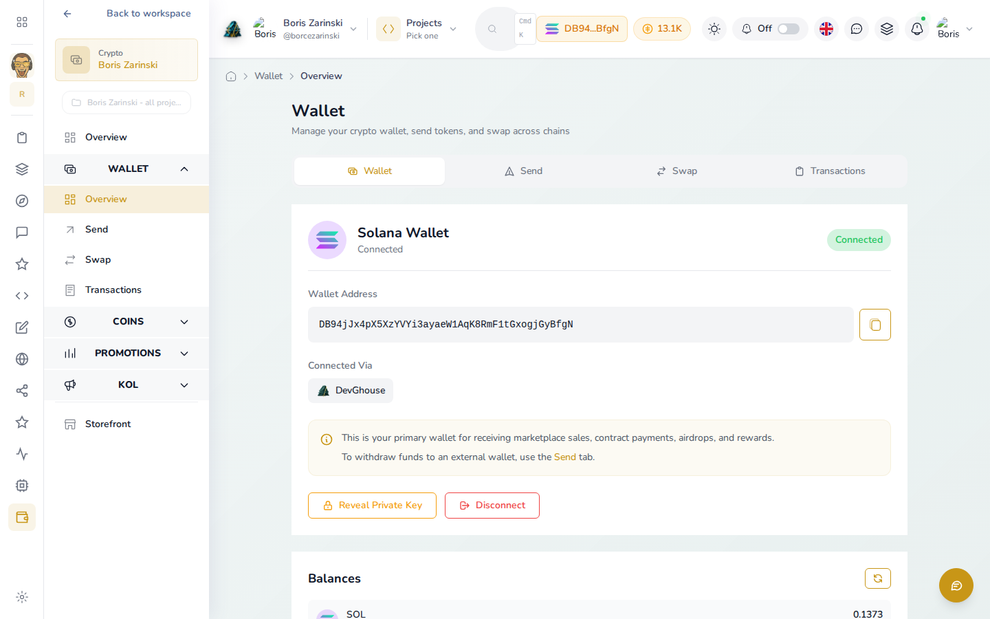 The crypto hub's Wallet page, showing the connected Solana address, the Copy address control, and real SOL and token balances