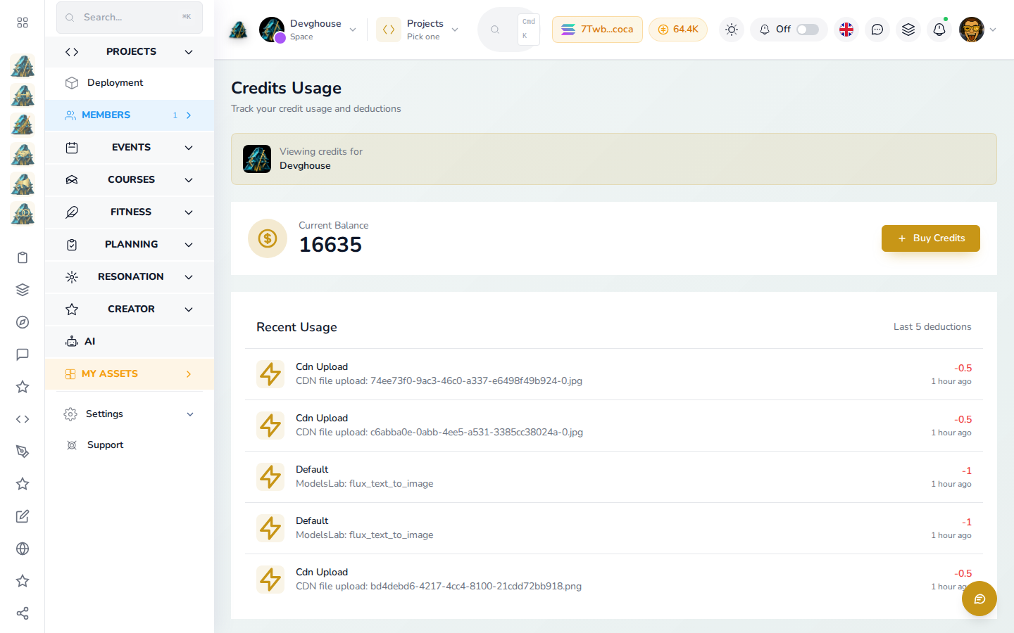 Credits Usage in your workspace: current balance, Buy Credits, and the last few real deductions