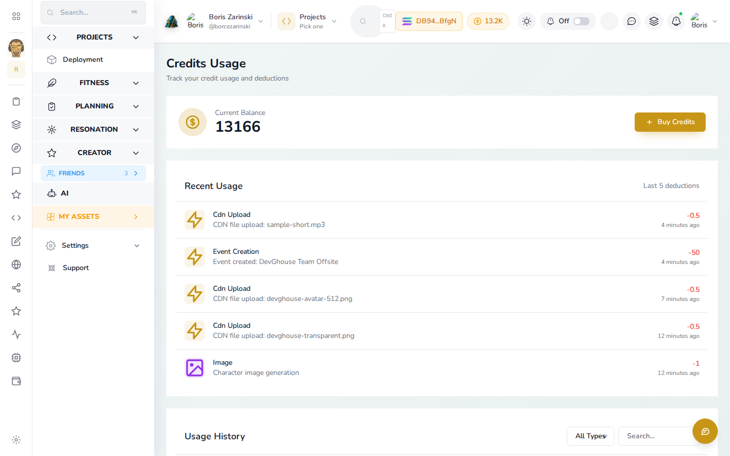 The Credits Usage screen: current balance and the recent usage log of real charges