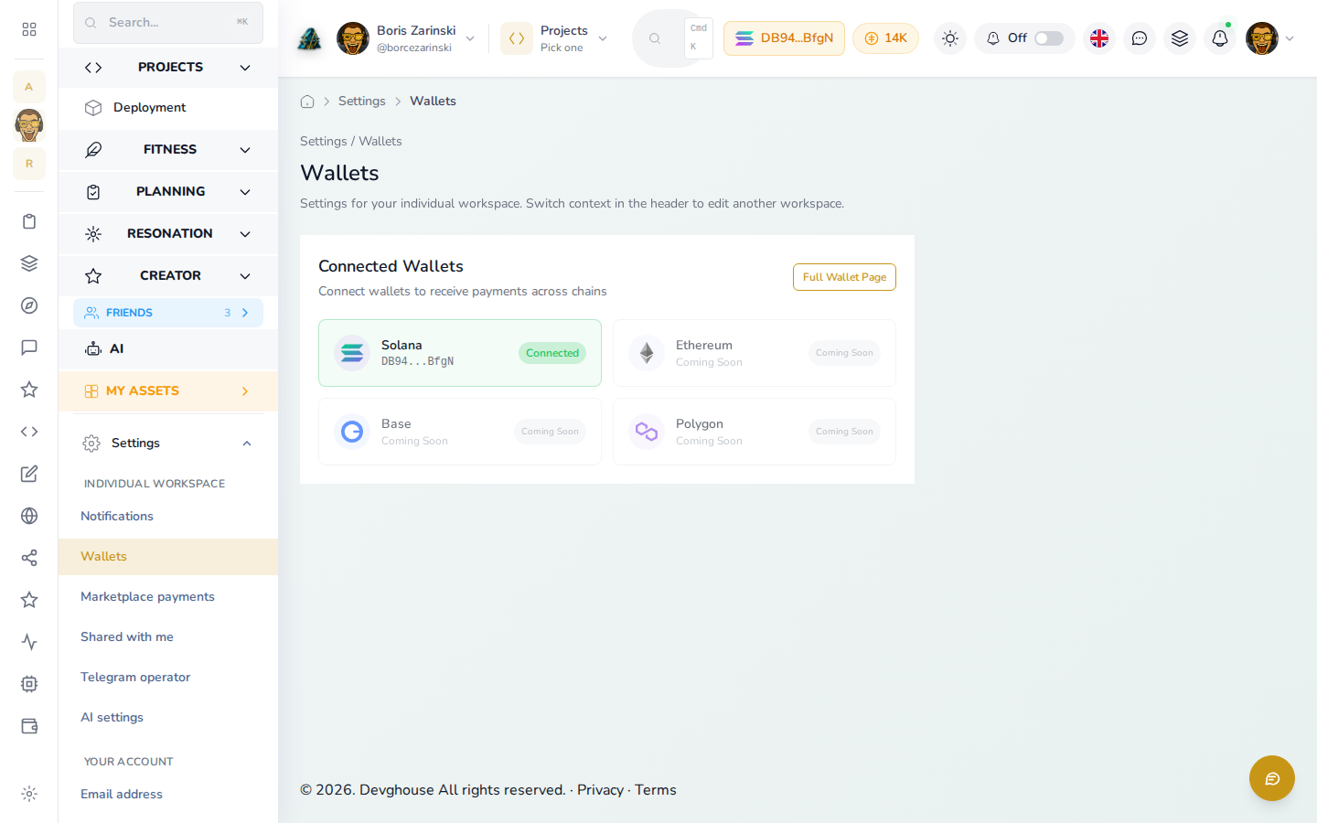 Wallets settings page: Solana connected, other chains coming soon