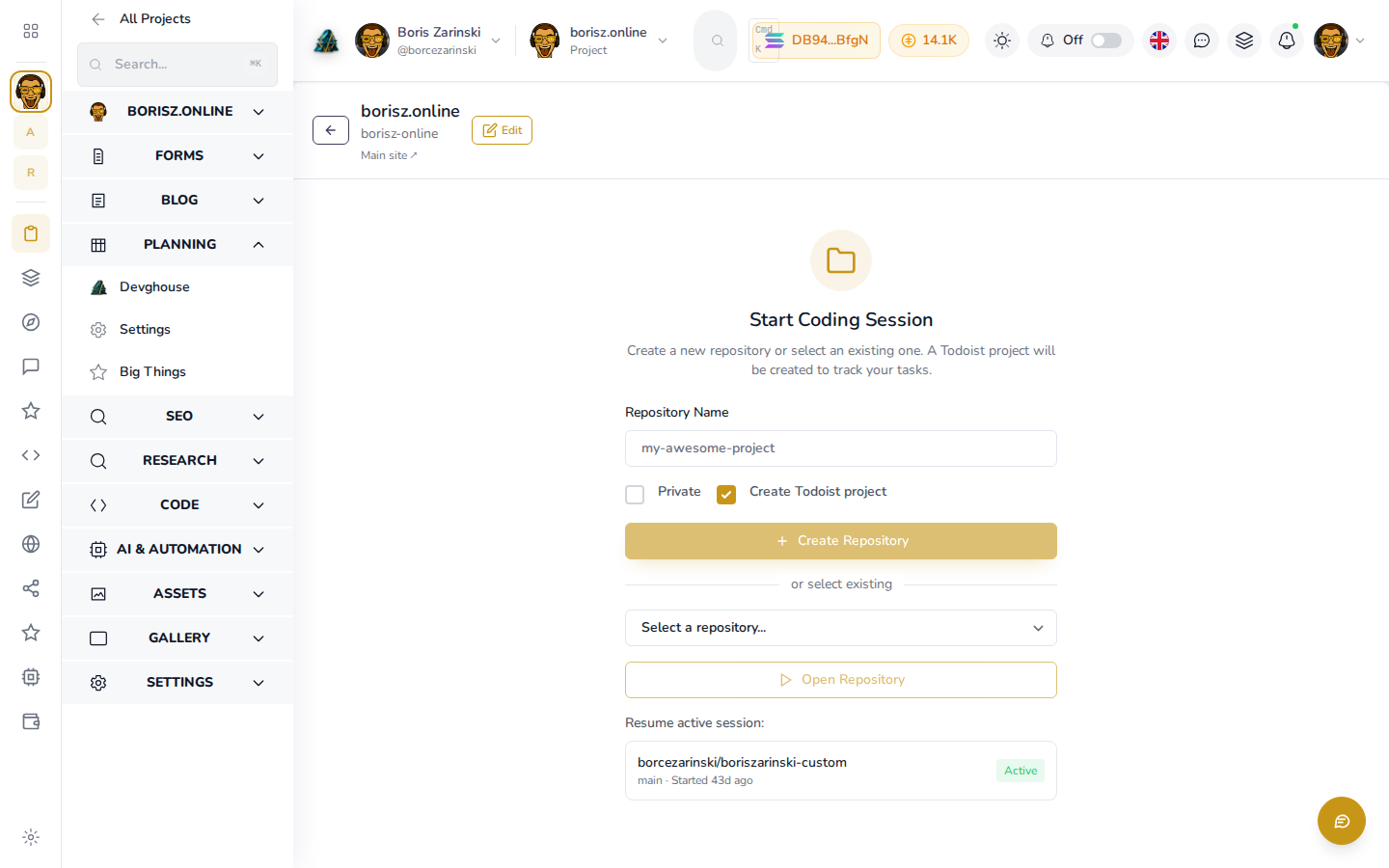 Starting a coding session: create a repository or resume one